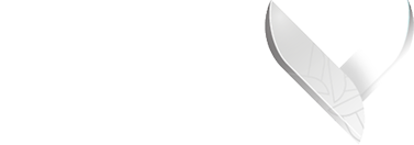 Sustainability Brand